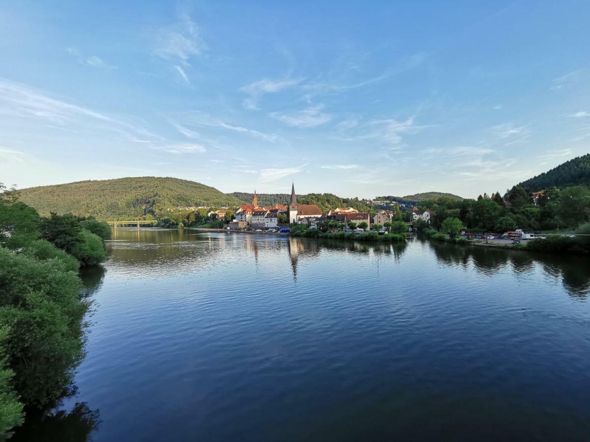 Ferienwohnungen Flussufer - Neckargemuend Altstadt Exterior photo