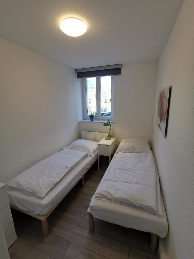 Ferienwohnungen Flussufer - Neckargemuend Altstadt Exterior photo